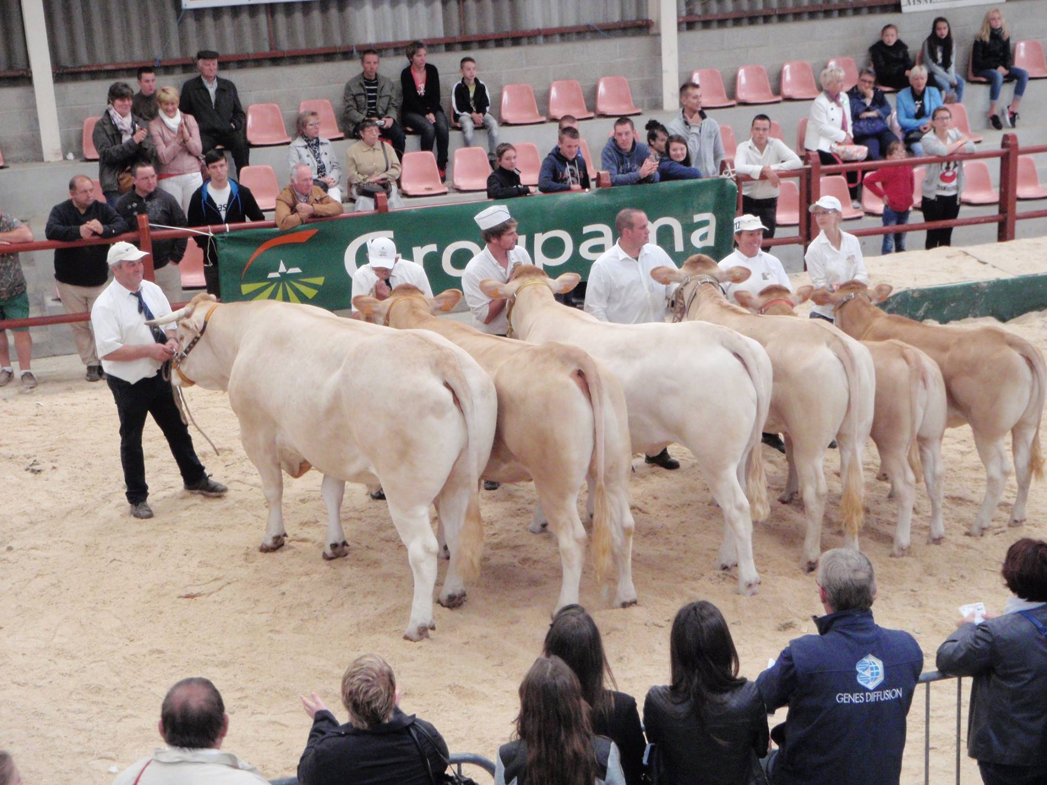concours agricole