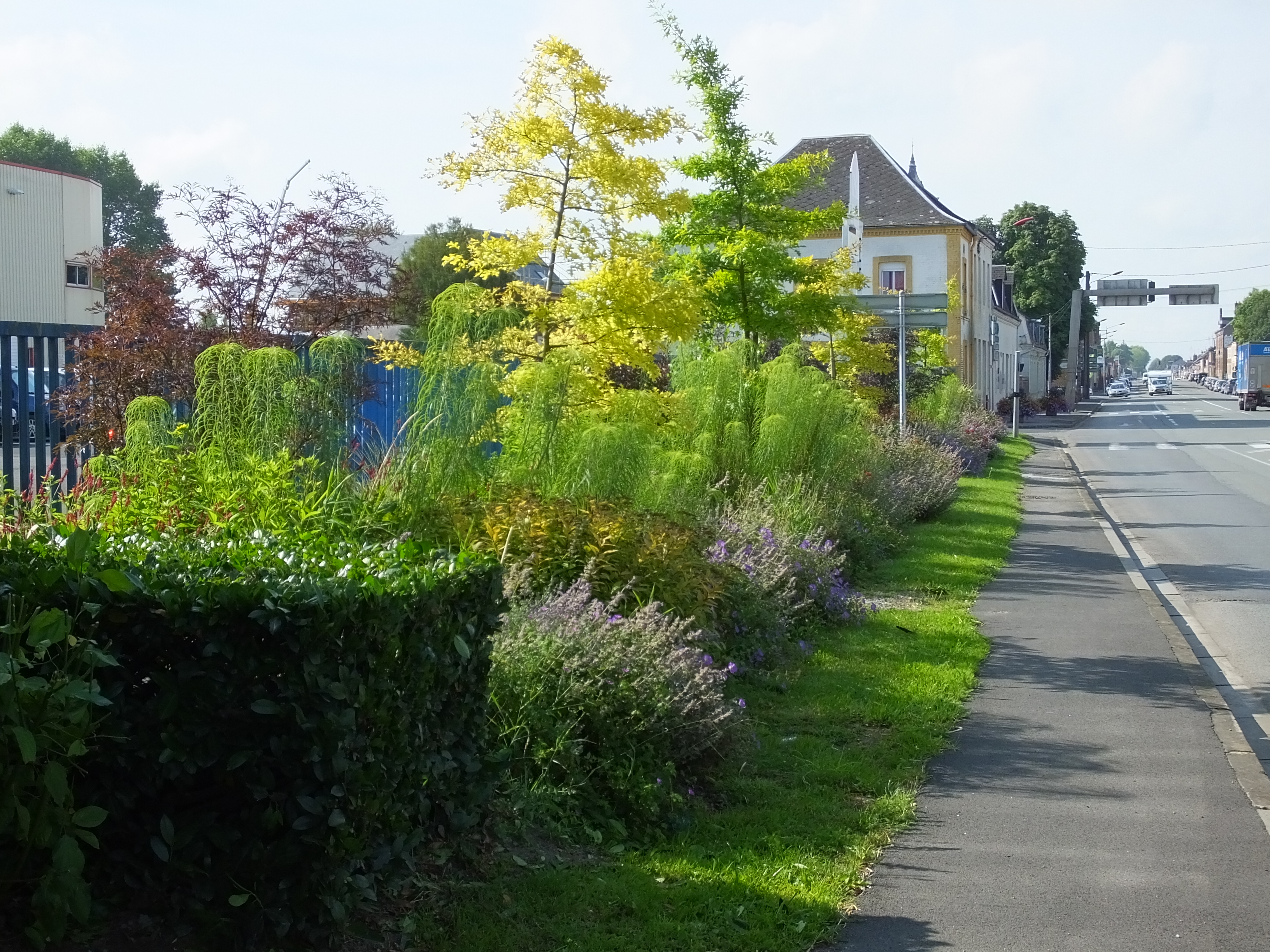 fleurissement 1