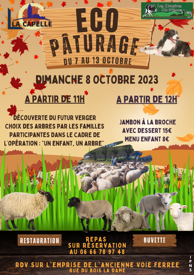 Eco pâturage