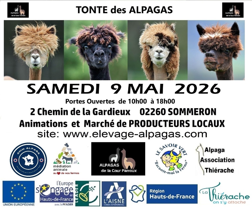 tonte 2026